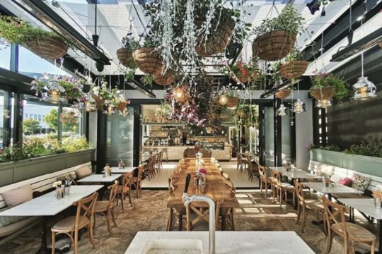 Restaurant dining room under a glazed roof hung with plant baskets